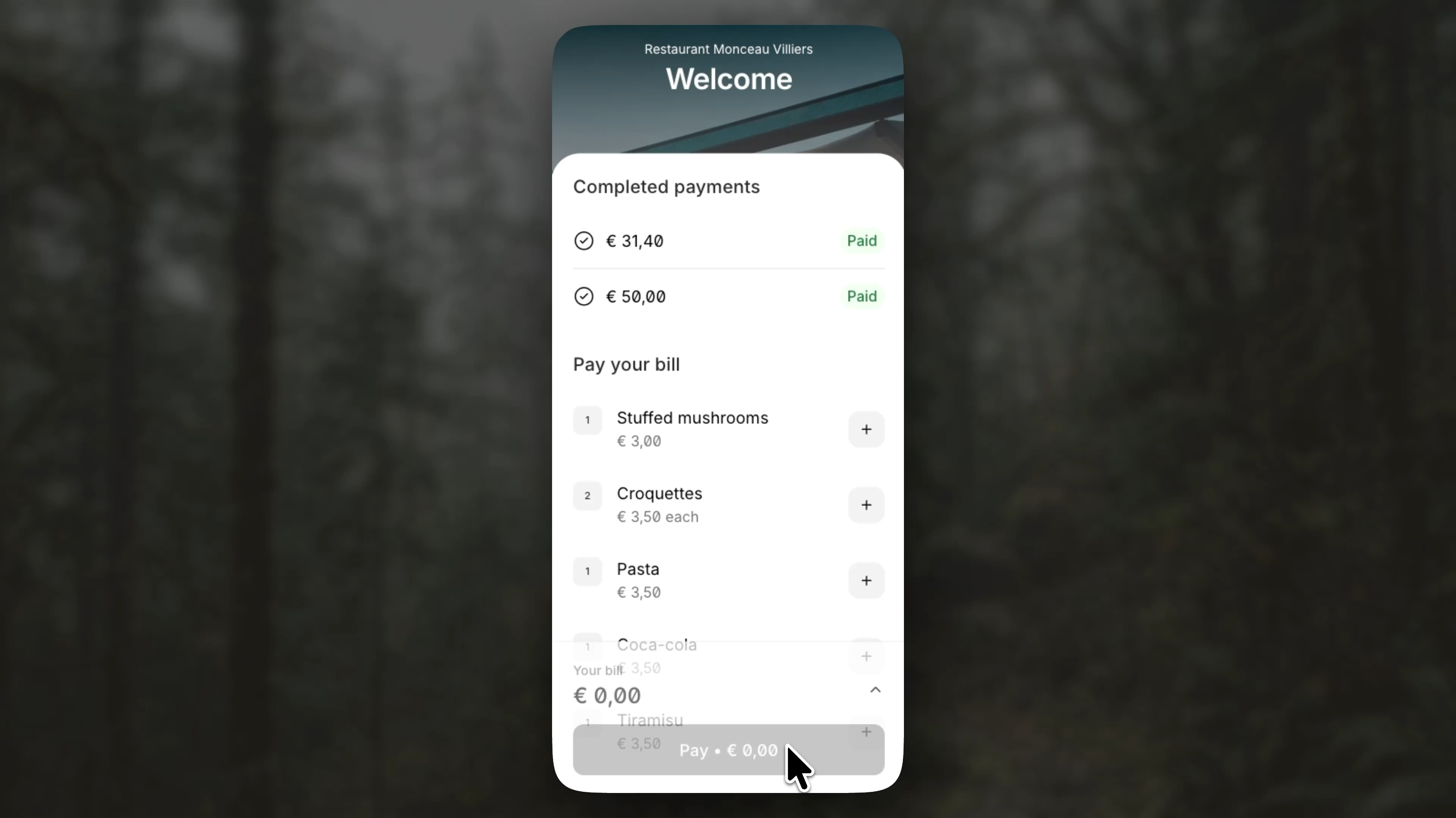 Guest Checkout split item mobile demo still
